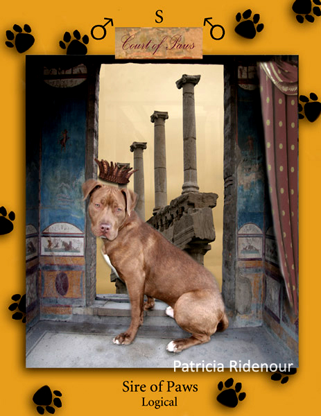 Patricia Ridenour_The Doggy Tarot_Sire of Paws