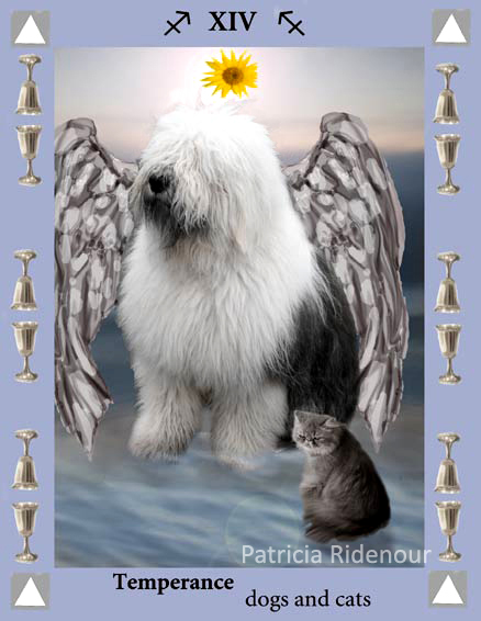 Patricia RIdenour_The Doggy Tarot_Temperence_Dogs and Cats