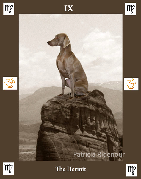 Patricia Ridenour_The Doggy Tarot_The Hermit