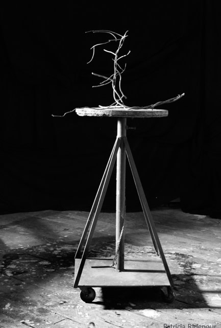 Patricia Ridenour_Photographs_Sculpture