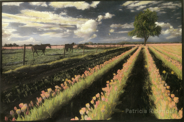 Patricia Ridenour_Skagit Valley_Hand Painted photograph
