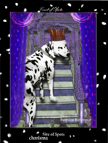 Patricia Ridenour_The Doggy Tarot_The Sire of Spots/Pentacles